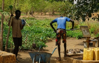 Caminos poco transitados