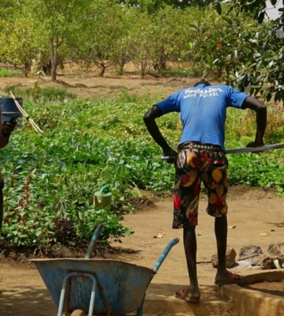 Caminos poco transitados