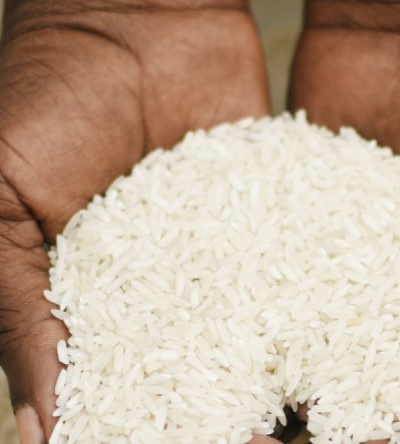 Arroz_hero