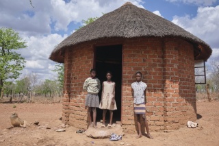 zimbabwe 1